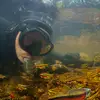 Andrew Zimmerman Photography - @andrew.zimmerman.photo - TikTok