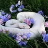 Andrea Adderley - @andrea.adderley8 - TikTok