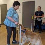 Andrea Adelman - @adelman659 - Instagram