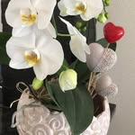 Arnold Andrea - @andrea_arnold_ - Instagram