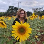 Andrea Arruda - @andrea.arruda.psi - Instagram