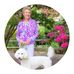 Andrea Aston, Attorney at Law - Facebook