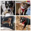 andrea aston - @luv4pitties - TikTok