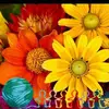 andreabardsmith - @andreabardsmith - TikTok