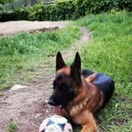 Andrea Berti - Facebook