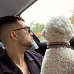 Andrea Berti - @andreabeerti - Instagram