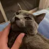Andrea Bertolo - @andreabertolo777 - TikTok