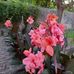 Andrea Bertolo - Facebook