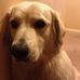 Andrea Bertram - Facebook
