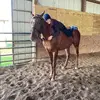 Andrea - @andrea.beth_ - TikTok
