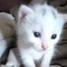 Andrea Beth - Facebook