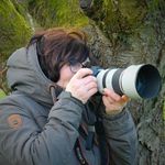 Andrea Beyer - @andreabeyer_photography - Instagram