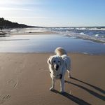 Andrea Beyer - @a.beyer_1406 - Instagram