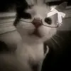 Andrea Cacho - @andrea.cacho6 - TikTok