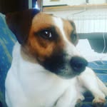 andrea capasso - @andreacapasso500013 - Instagram