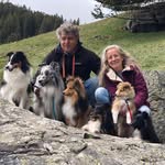 Andrea Capasso - @kilylis_shelties - Instagram