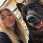 Andrea Caputo - @andreacaput.o - Instagram
