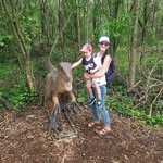 Andrea Cavanagh Beahen - @andrea.j.cavanagh - Instagram