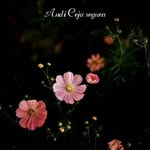 Andrea Ceja - @andrea.ceja.3914 - Instagram