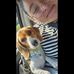 Andrea Chenault - Facebook