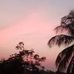 Andrea Chui - Facebook