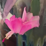Andrea Corcoran - @nwclaygirl - Instagram