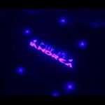 #andrea Borello - @andrea_borello_crew - Instagram