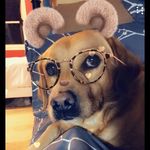 Andrea Cummings - @anditopping - Instagram