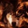 cute_dog33 - @andreadenney6 - TikTok