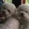 M Andrea Denney - @m.andrea.denney - TikTok