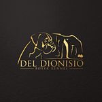 andrea di giorgio - @kenneldeldionisio - Instagram