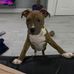 Andrea Dunning - Facebook