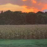 Andrea Edmonds - @andrea7056589 - Instagram