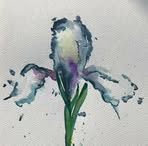 Andrea Edmonds - Facebook