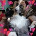 Andrea Eldridge - Facebook