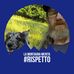Andrea Eli - Facebook