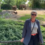 Andrea Englert - @sternbratzel - Instagram