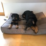 andreaflaig - @maiamephisto - Instagram