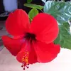 andreagartner4 - @andreagartner4 - TikTok