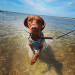 Andrea Gillard - @rudithevizsla2022 - Instagram