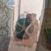 Andrea Giunta - Facebook