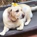 Andrea Goode - Facebook