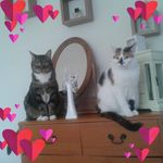 Andrea Goode - @andreagoode35gmail - Instagram