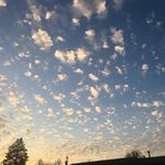 andrea goode - @goode3774 - Instagram