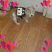 Andrea Goode - Facebook
