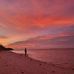 Andrea Gower - Facebook