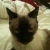 Andrea Grigg - Facebook