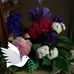 Andrea Hamel - Facebook