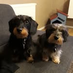 Andrea Hämel - @charly_muckel - Instagram
