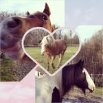 Andrea Hammerer - @andrea_hammerer - Instagram